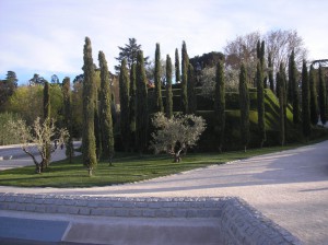 El Bosque de los Ausentes