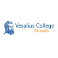 Vesalius College Academic Excellence Scholarship